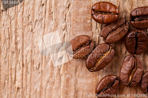 Image of fresh coffee beans