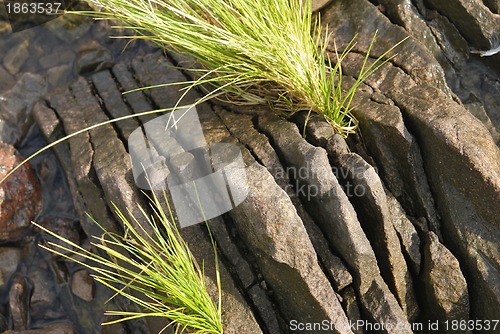 Image of Stone Pages