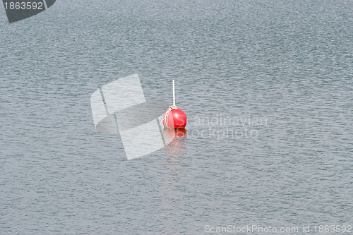 Image of buoy