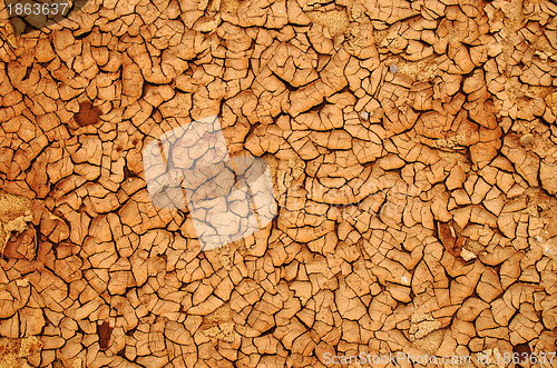 Image of Background of dry ground earth resolved after rain 