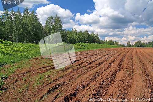 Image of plow field