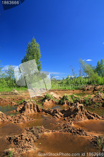 Image of old sandy quarry in green wood