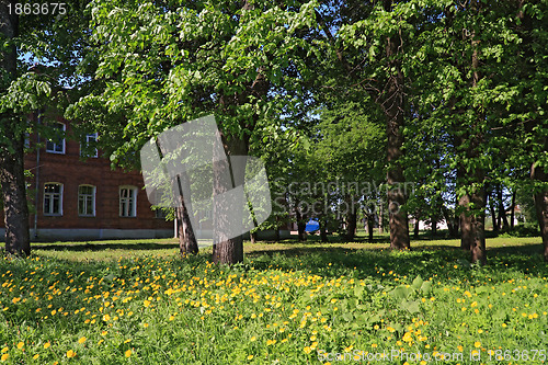 Image of old house amongst tree in park