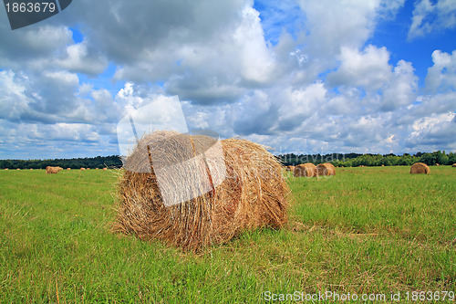 Image of stack hay on summer field 