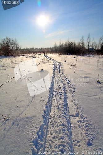 Image of track left by skis in wood