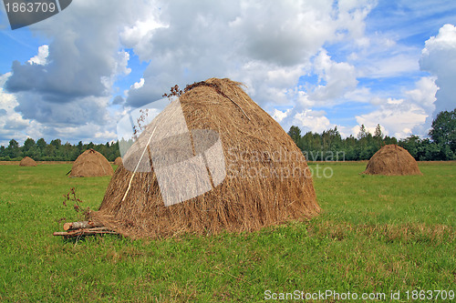 Image of stack hay on summer field 