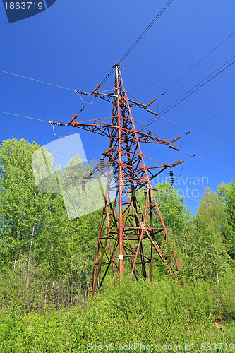 Image of electric pole amongst green wood