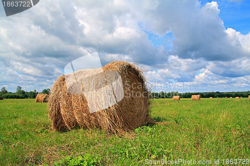 Image of stack hay on summer field