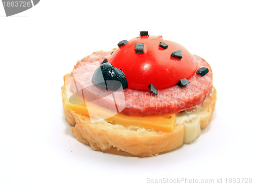 Image of sandwich with tomato on white background