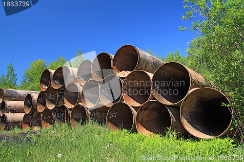 Image of old gas pipes amongst green herb