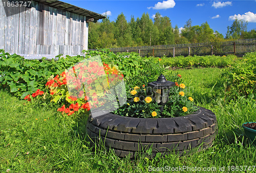 Image of summer flowerses near rural building