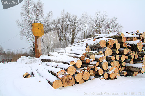 Image of heap firewood on winter snow