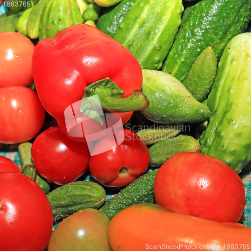 Image of red pepper amongst cucumber and tomato