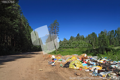 Image of garbage pit on rural road near wood