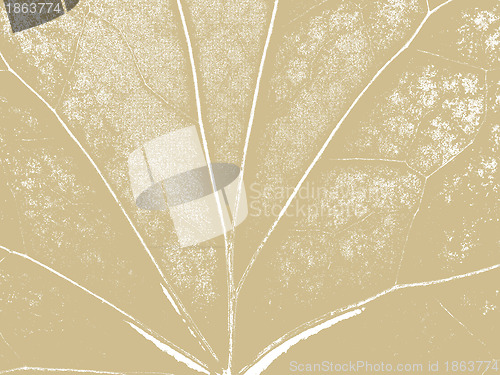 Image of texture of the wood sheet on brown background