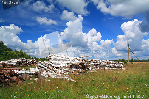 Image of timber in a field near the forest