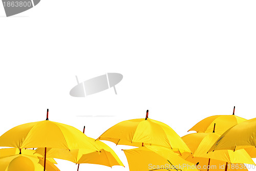 Image of yellow umbrellas on white background