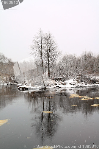 Image of snow tree on coast river 