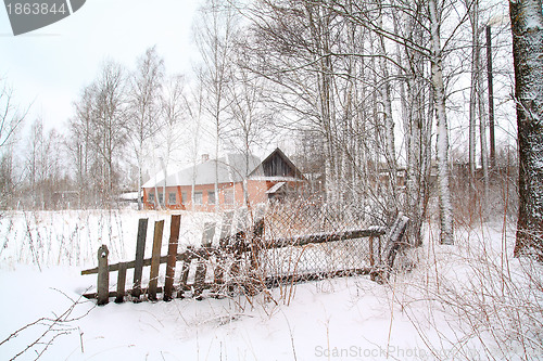 Image of red house amongst white birch