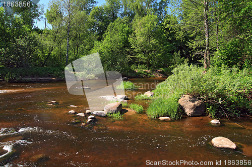 Image of mountain river flow between stone 