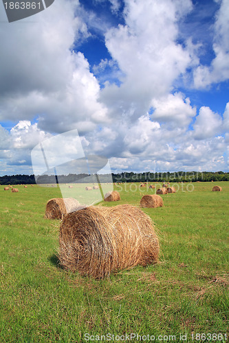 Image of stack hay on summer field 