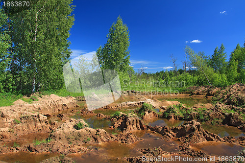 Image of old sandy quarry in green wood