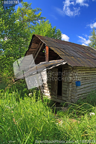 Image of hunter's hut in a green forest