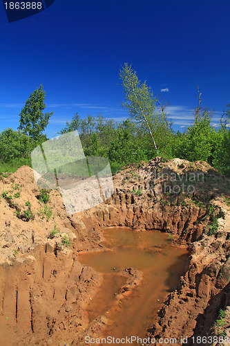 Image of old sandy quarry in green wood