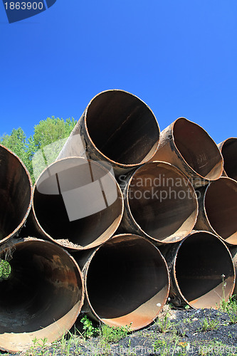 Image of old gas pipes amongst herbs