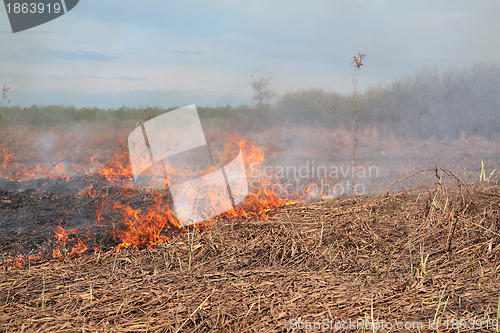 Image of red fire in dry herb