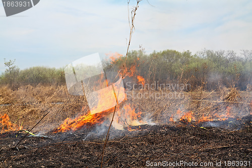 Image of red fire in dry herb
