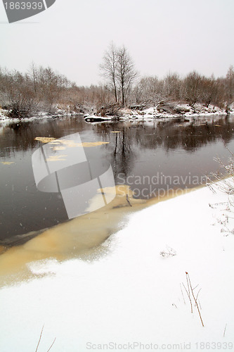 Image of snow tree on coast river 