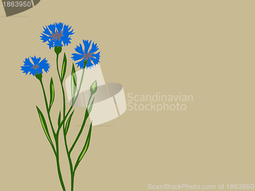 Image of cornflower silhouette on brown background