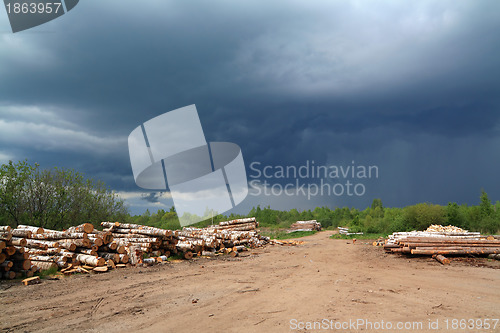 Image of birch log on rural road under cloudy sky