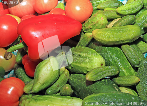 Image of red pepper amongst cucumber and tomato