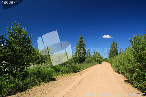 Image of rural road in green wood