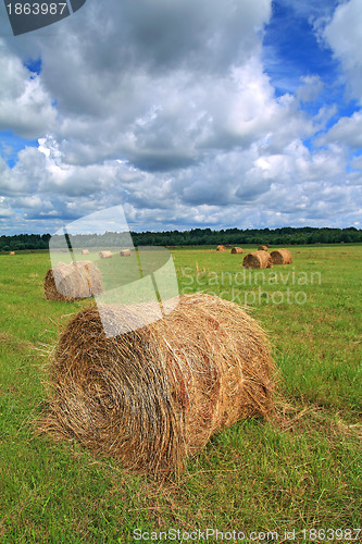 Image of stack hay on summer field