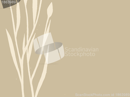 Image of plant silhouette on brown background
