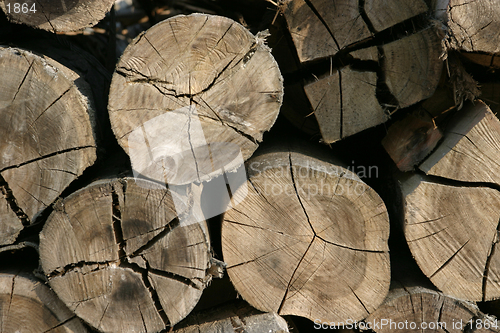 Image of timber