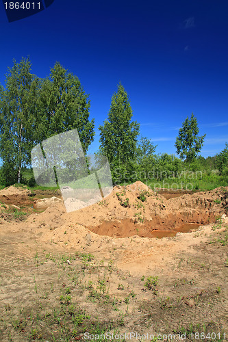 Image of old sandy quarry in green wood