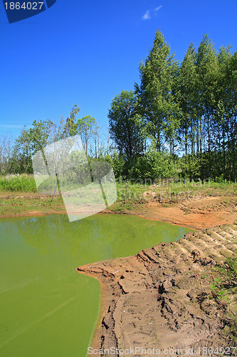 Image of green lake in summer wood