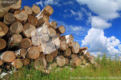 Image of timber in a field near the forest