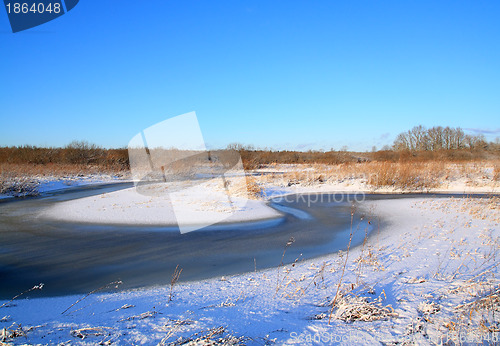 Image of snow bushes on coast river 