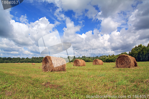 Image of stack hay on summer field