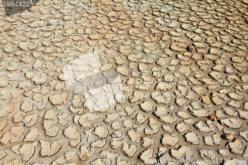 Image of Dry land