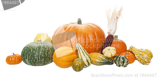 Image of Autumn Harvest Arrangement