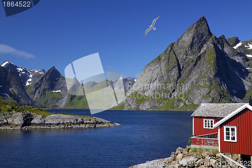 Image of Lofoten islands