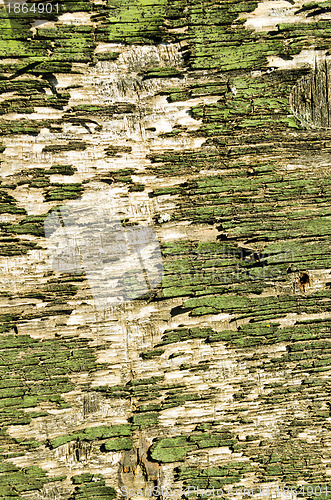 Image of Backdrop retro wooden peeling paint wall closeup 