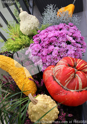 Image of Well decorated terrace with a lot of flowers and vegetables 