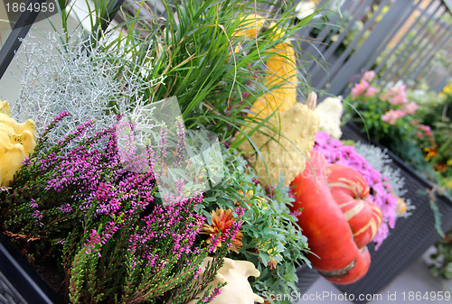 Image of Well decorated terrace with a lot of flowers and vegetables 